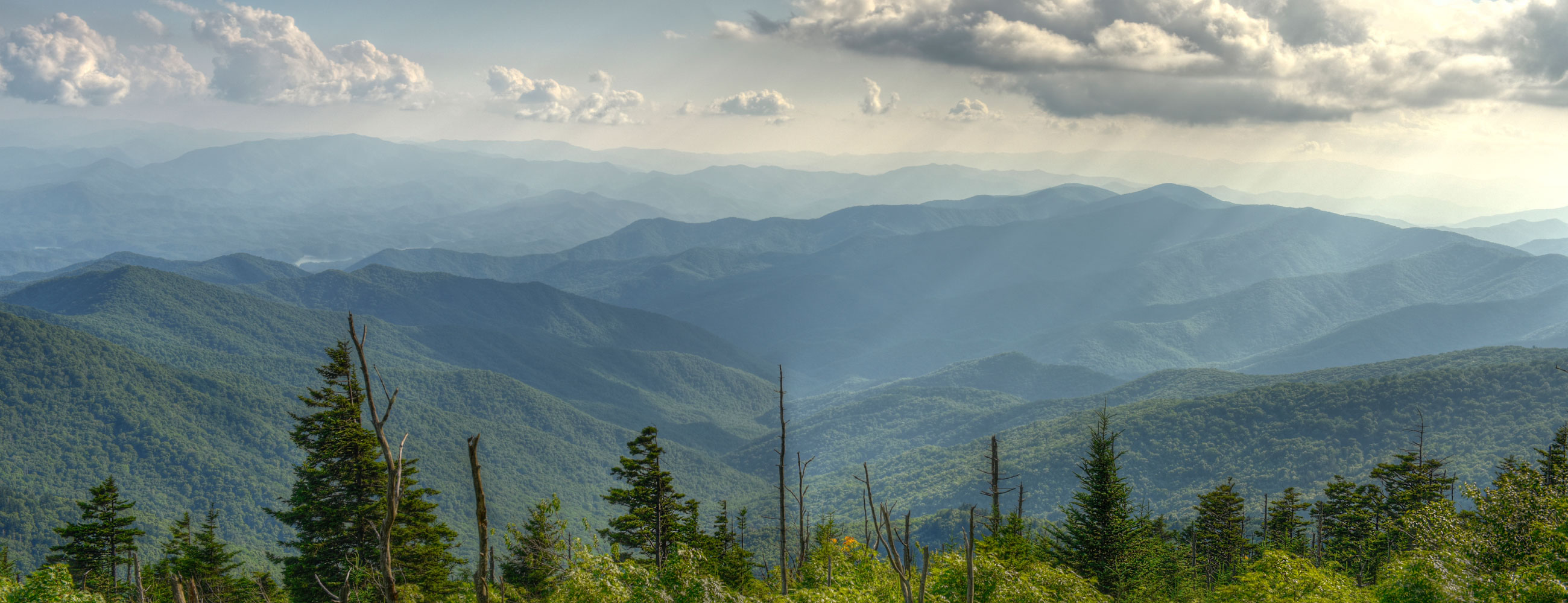 Italiopizza-Delivery